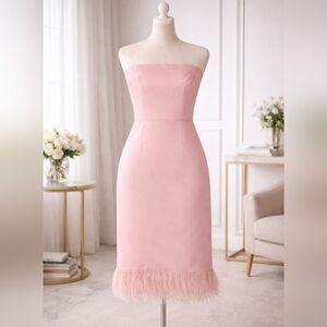 NWT Luxury Blush Pink Strapless Feather Hem Midi Dress – Camilyn Beth Size 6